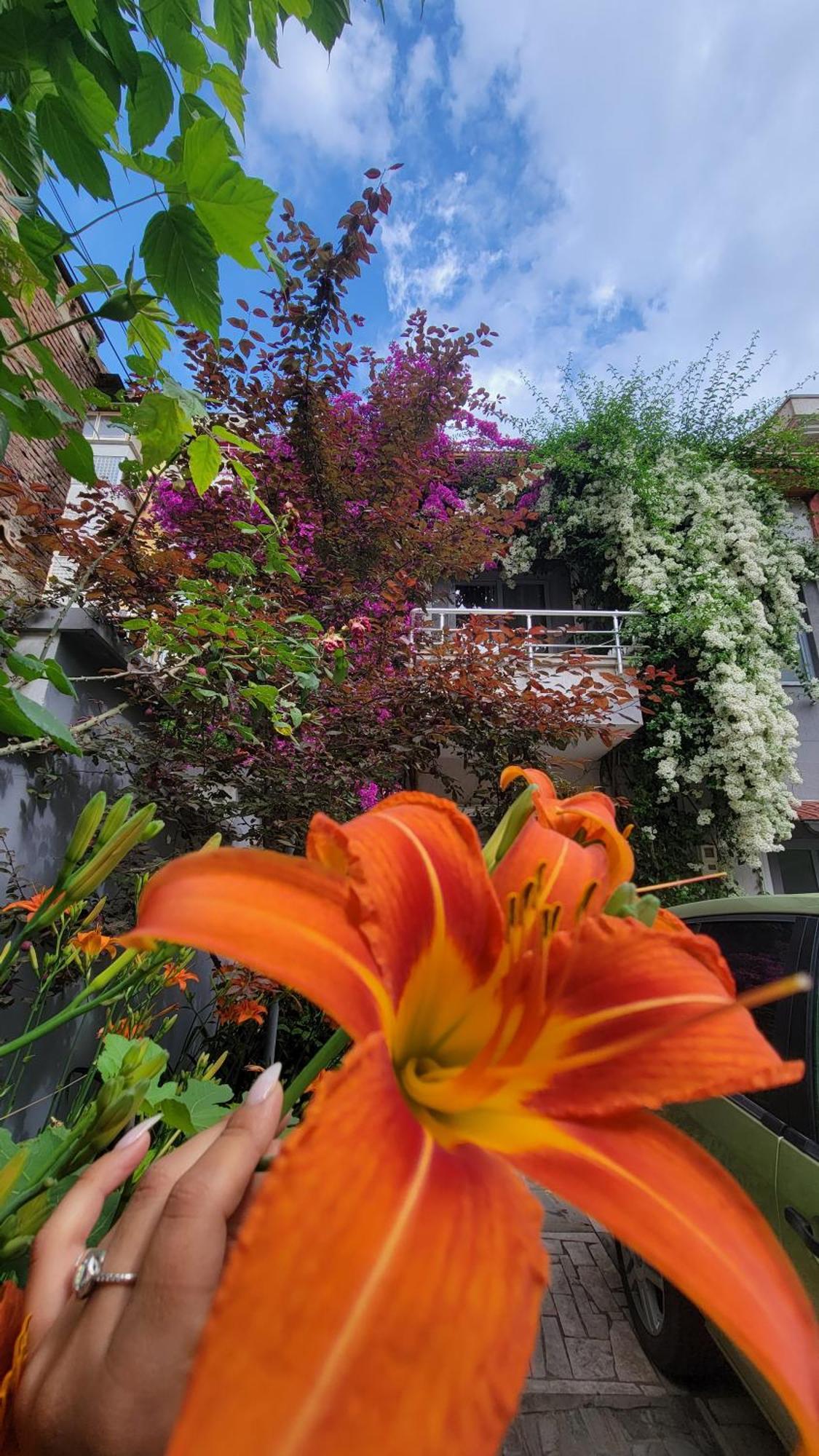 A Cheerful Villa With Free Parking Space Tirana Zimmer foto